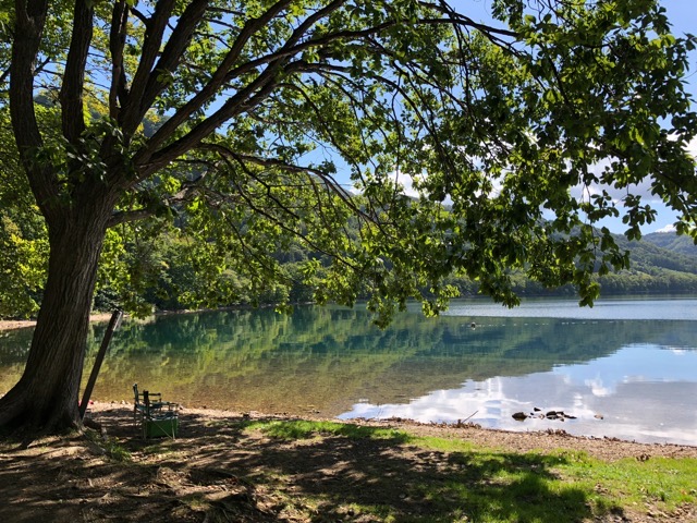 6C27E892-19E7-462B-BA19-4E20A35FCFB4